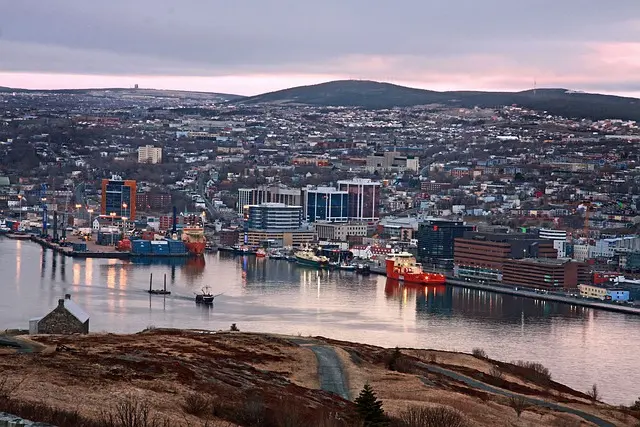 How to Ensure Quality and Potency with Magic Mushroom Delivery in St. John’s, Newfoundland