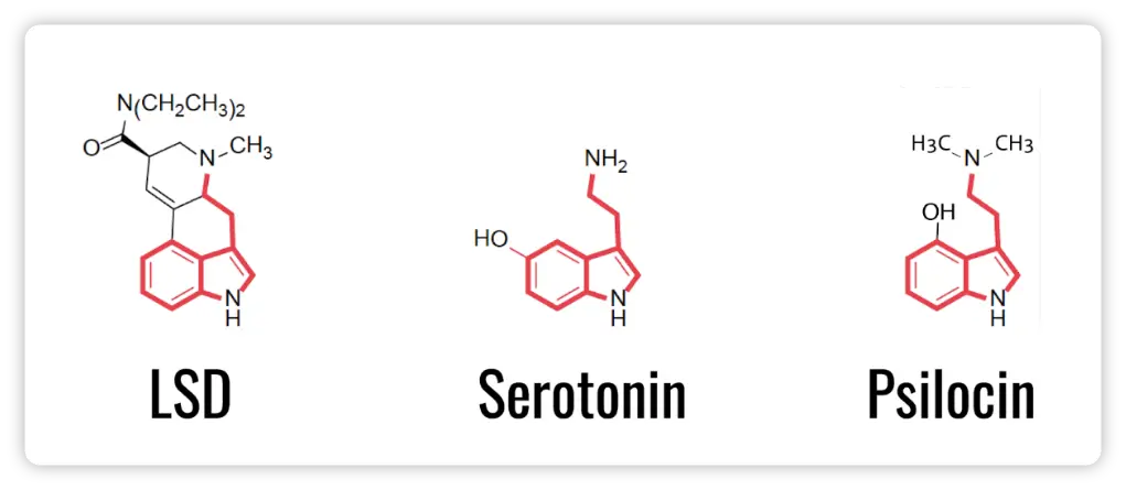 Exploring the Brain's Reaction to Antidepressants and Psychedelics