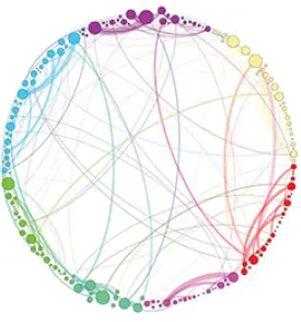 Brain Network Psilocybin State​